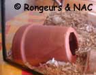 Exemple de maison pour gerbilles