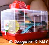 Cage pour hamster syrien
