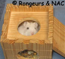 Maison en bois