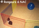Parc pour hamster