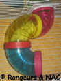 Tuyau de hamster