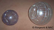 Comparatif sphre pour hamster nain et sphre pour hamster syrien